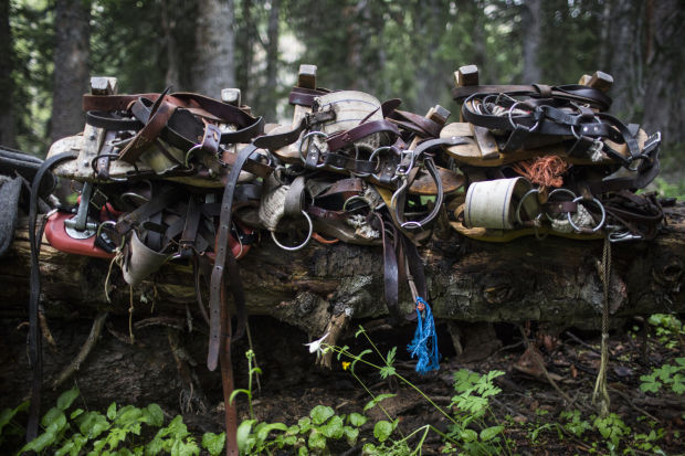 Gros Ventre Wilderness